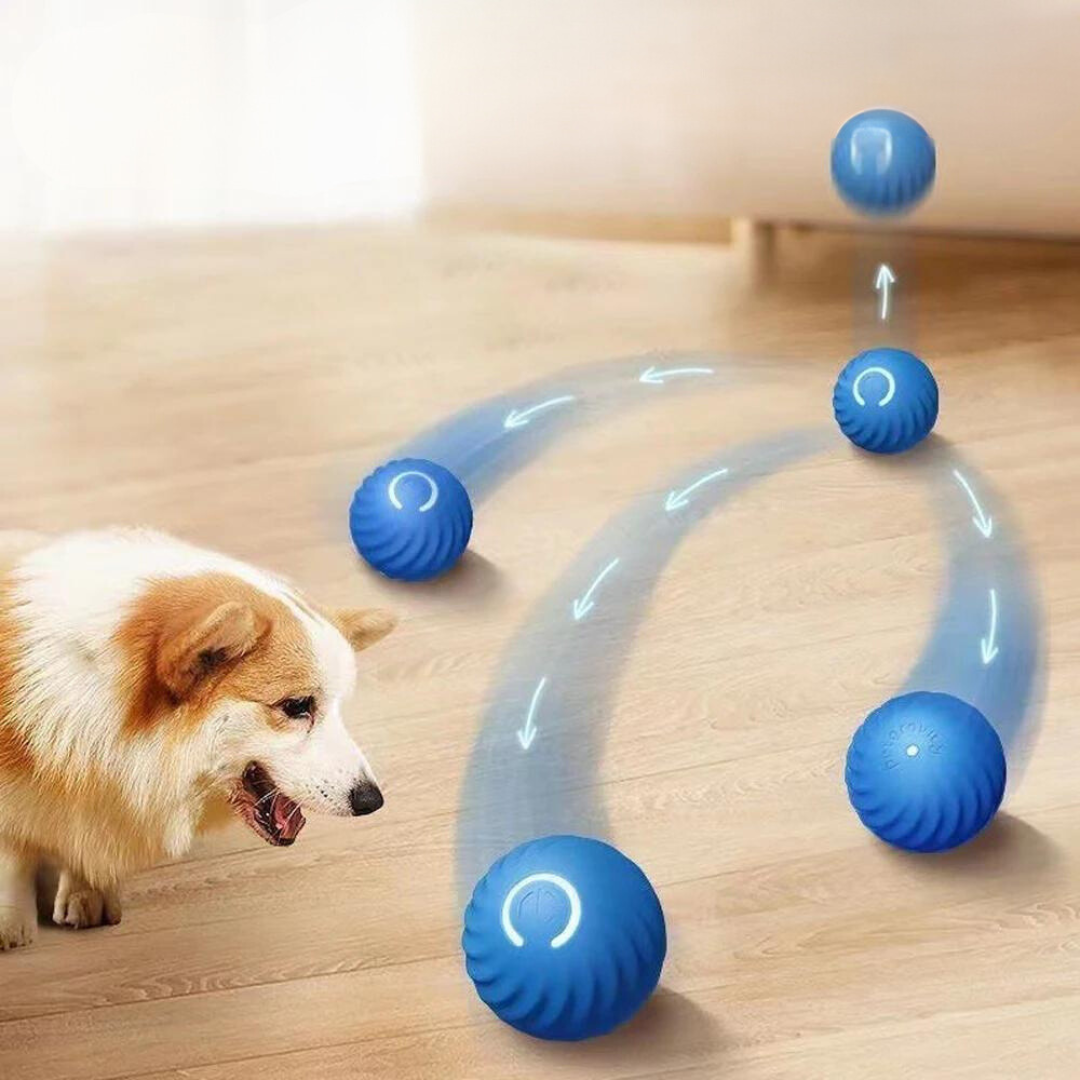 Husdjursboll - Interaktiv Leksak