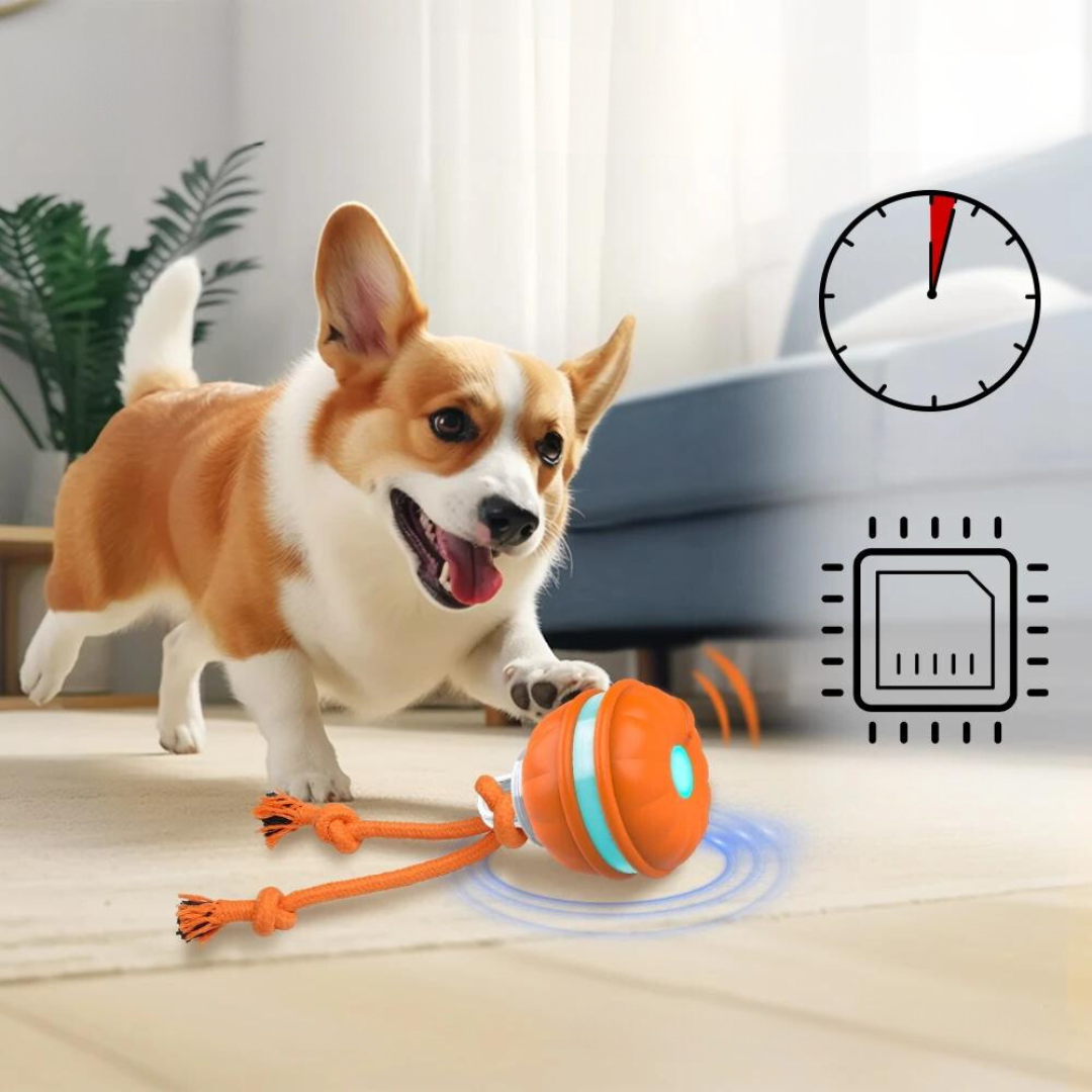Interaktiv Hundboll - Smart Leksak