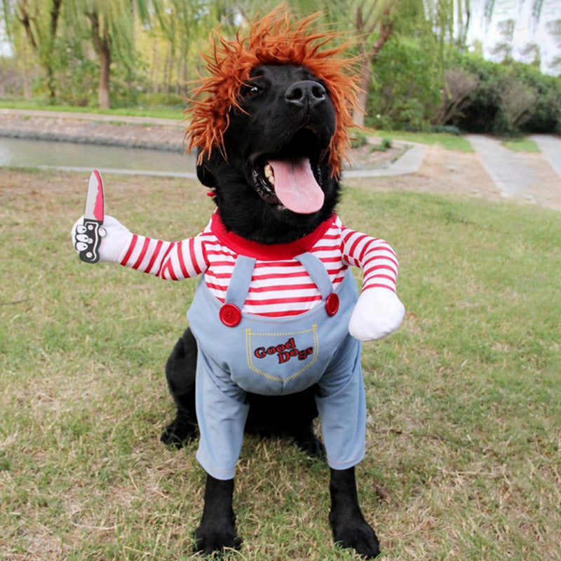 The dog's Halloween costume