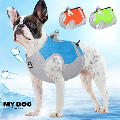 COOL VEST - HARNESS FOR DOGS 