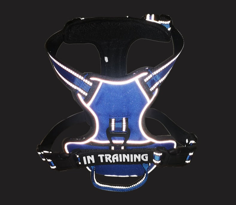 PERSONAL Y HARNESS WITH REFLEX FOR DOGS