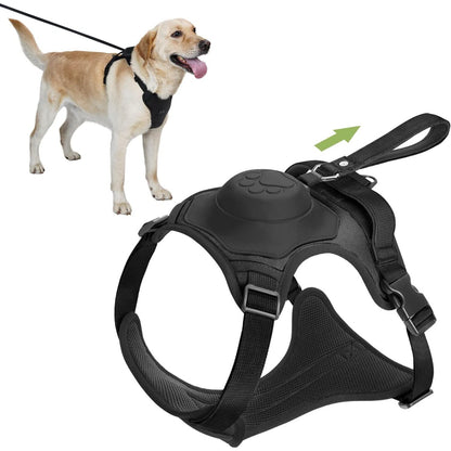 2-in-1 Dog Harness with Retractable Leash 