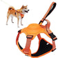 2-in-1 Dog Harness with Retractable Leash 
