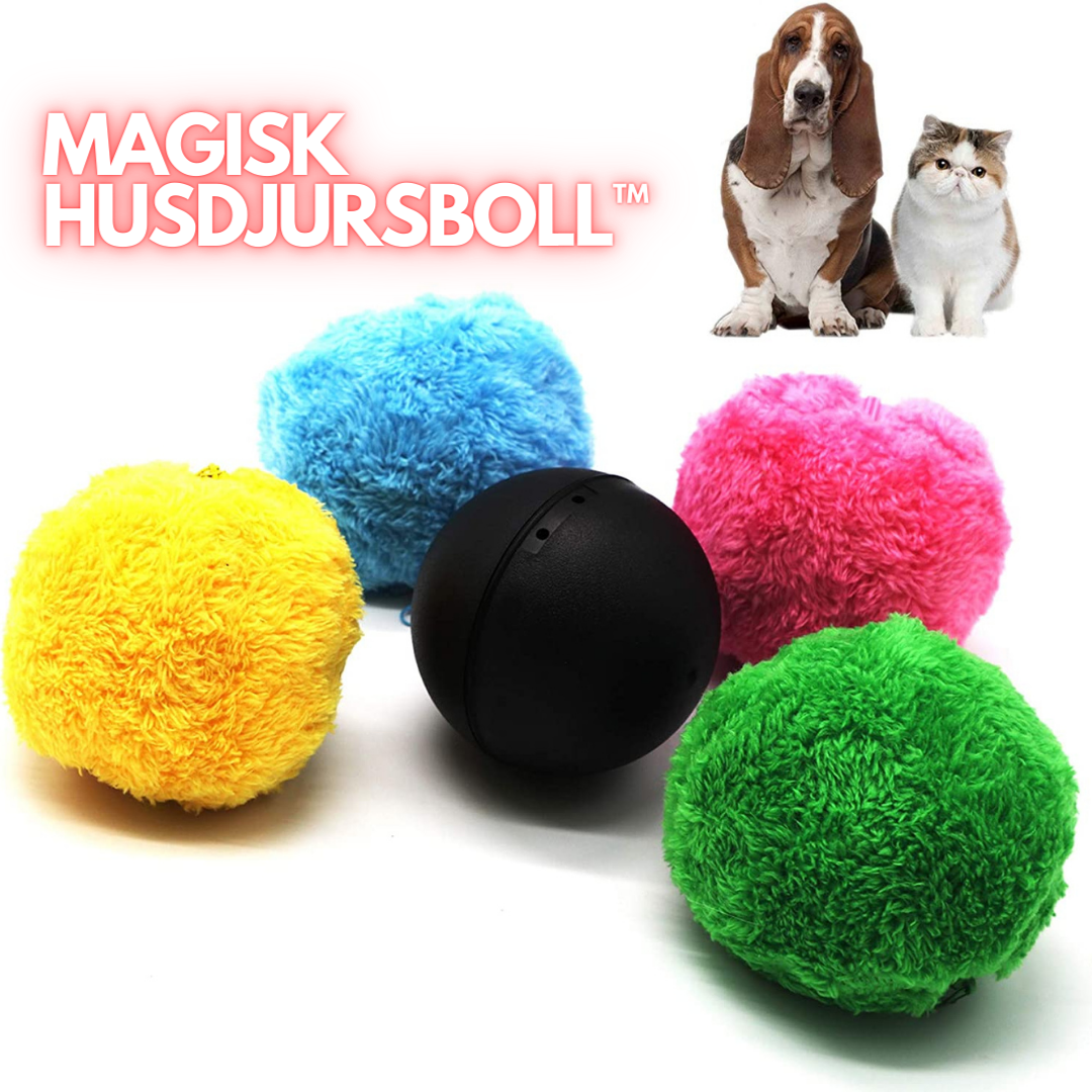 Magic pet deals ball
